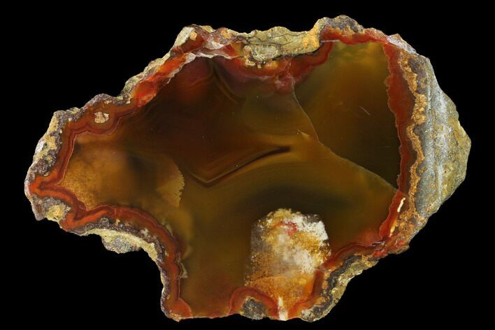 Colorful, Polished Condor Agate Section - Argentina #152623